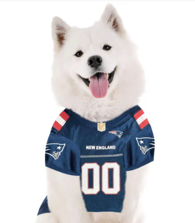 Pats1407
